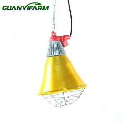 Chicken Coop Heater Warm Lamp