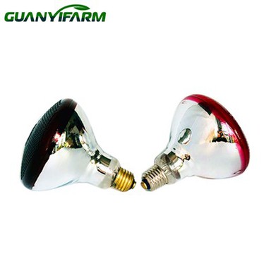 PAR38 Opdrætsvarmelampe