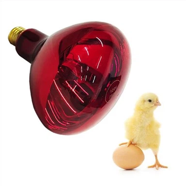 Red Hard Glass Infrared Bulb