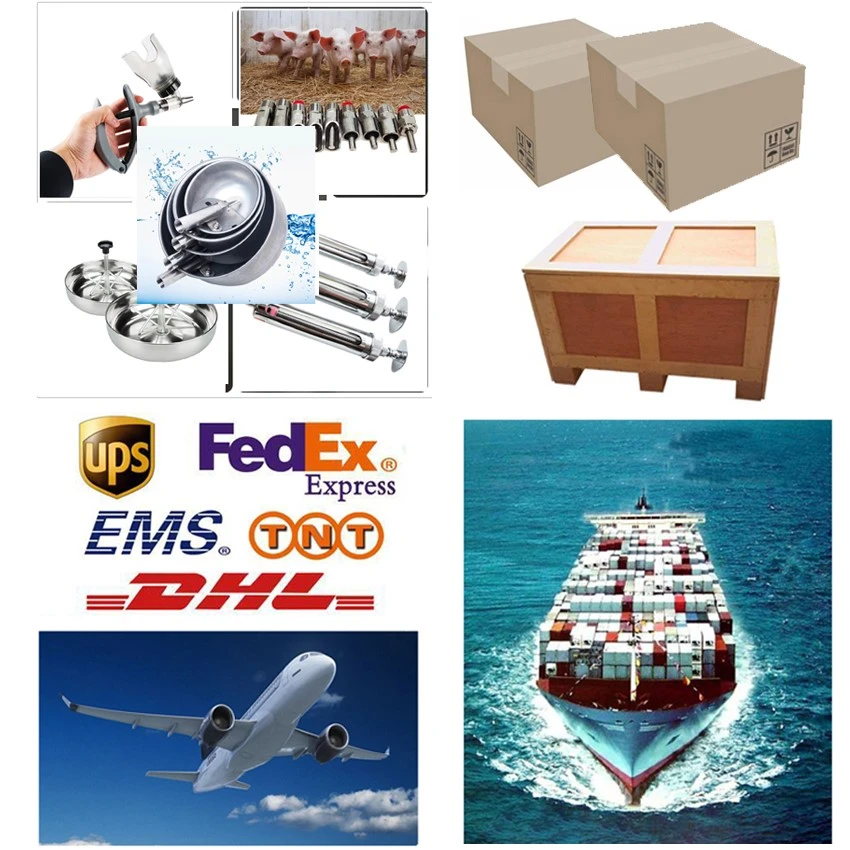 Packaging and Delivery of Lamb Feeding Nipple Packaging and Delivery of Lamb Feeding Nipple